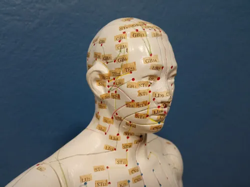 5 - Dr Charlotte Hucault