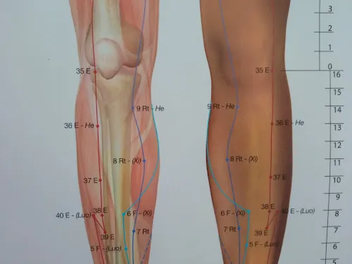 3 - Dr Charlotte Hucault