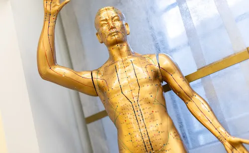 6 - Dr. Chayar Ahmad