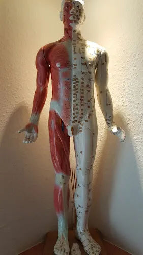 1 - Dr. Christian Schneider