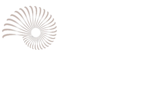 4 - Dr. Dr. med. dent. Marius Tigan | MSc Orale Chirurgie & MSc Kieferorthopädie