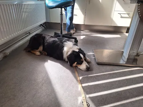 4 - Dr. Heme Christiansen Zahnarzt