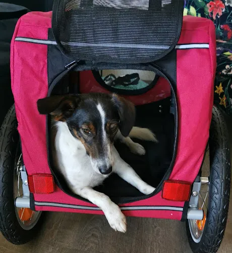 5 - Dr. Heme Christiansen Zahnarzt