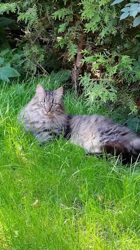 8 - Dr. Heme Christiansen Zahnarzt