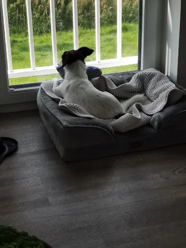 7 - Dr. Heme Christiansen Zahnarzt