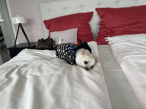 6 - Dr. Heme Christiansen Zahnarzt