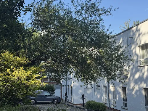 3 - Dr. med. Birger Wahl