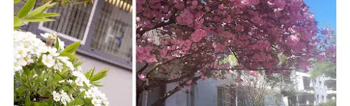 5 - Dr. med. C. Fischer