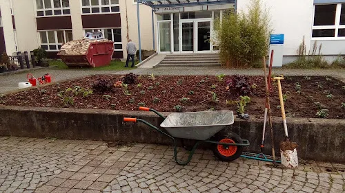 7 - Dr. med. dent. Kamran Miraki