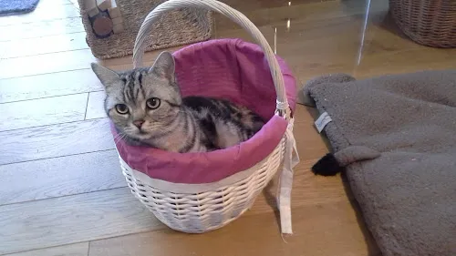 1 - Dr. med. Dirk H. Mehwald