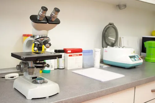 3 - Dr. med. Jutta Buße-Renault