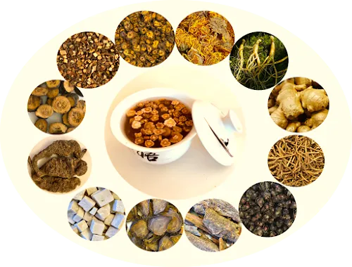 7 - Dr. med. Michael Rath