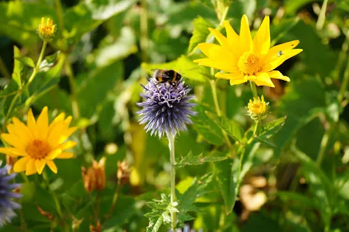 7 - Dr. med. R. Otto