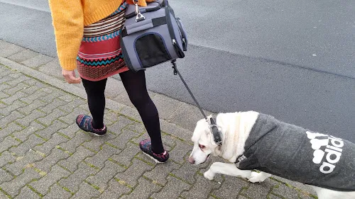 3 - Dr. med. vet. Reinhard Jost Tierarzt