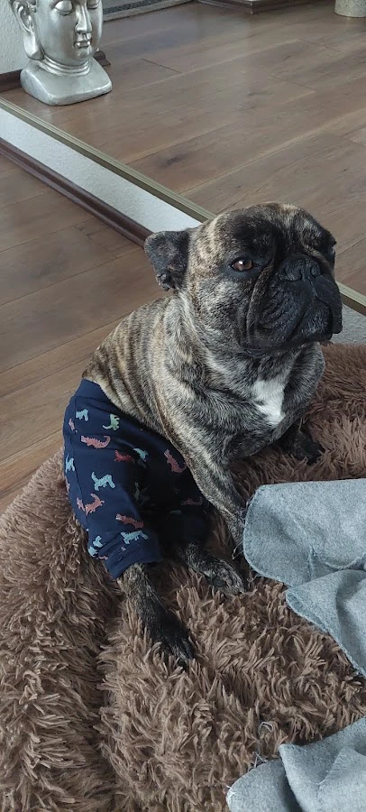 1 - Dr. med. vet. Reinhard Jost Tierarzt