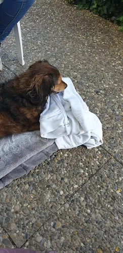 8 - Dr. med. vet. Reinhard Jost Tierarzt