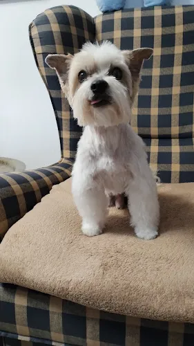 6 - Dr. med. vet. Reinhard Jost Tierarzt