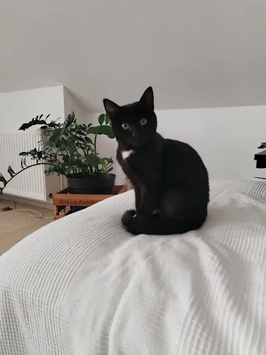 2 - Dr. med. vet. Reinhard Jost Tierarzt