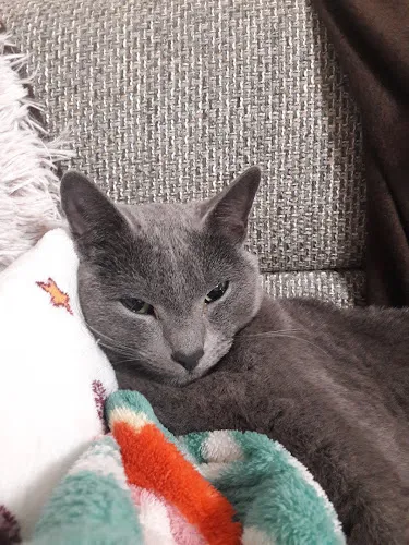 7 - Dr. med. vet. Reinhard Jost Tierarzt