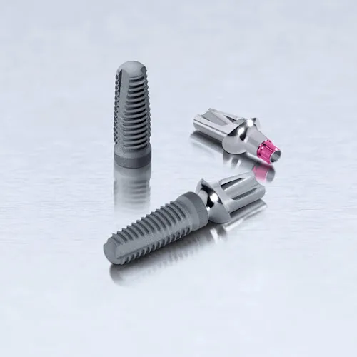 7 - Dr. Monica Graur