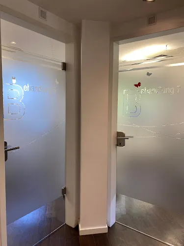 6 - Dr. Monica Graur