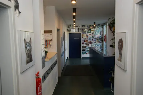 6 - Dr. Sandra Grimm