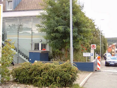 8 - Dr. Sandra Grimm