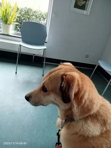 7 - Dr. Sandra Grimm