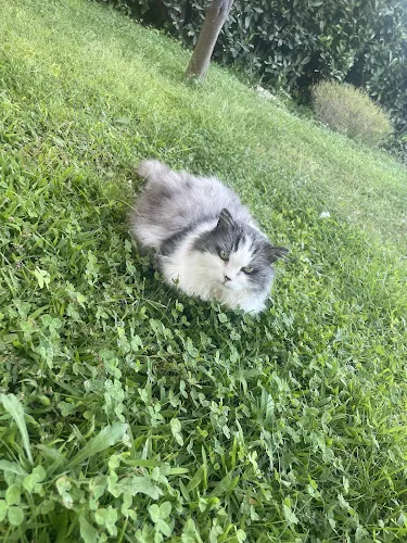 5 - Dr. Sandra Grimm