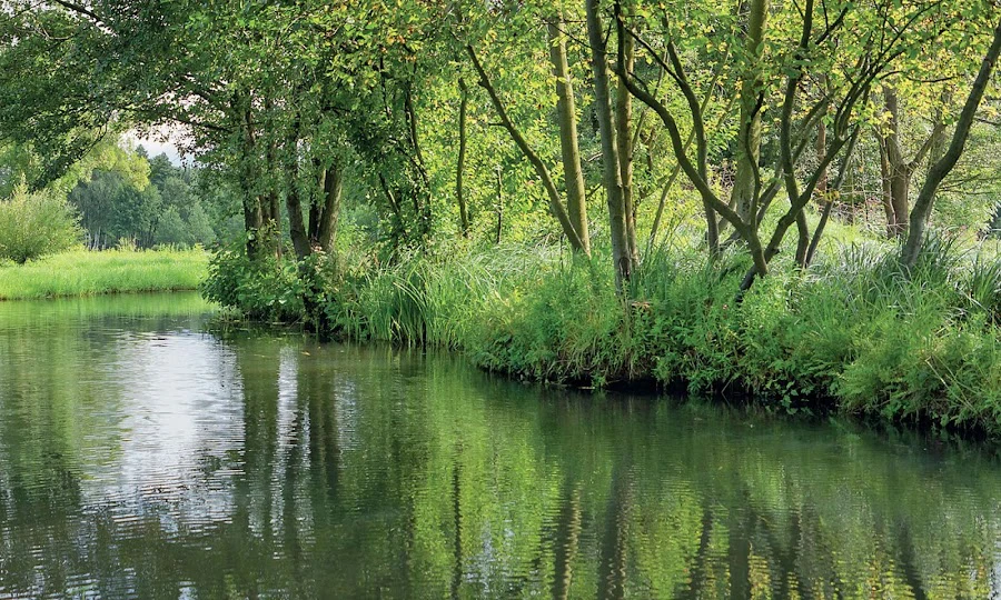 1 - Dr. Susanne Krüger