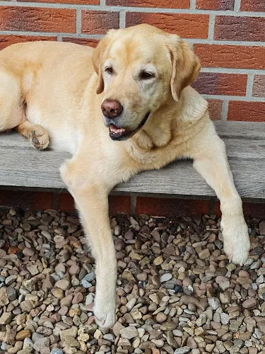 2 - Dr.med. Cord-Ulrich Kütemeyer