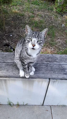 6 - Dr.med. Cord-Ulrich Kütemeyer