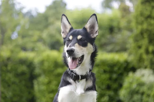 4 - Dr.med. Cord-Ulrich Kütemeyer