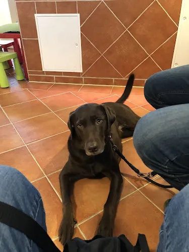 7 - Dr.med. Cord-Ulrich Kütemeyer