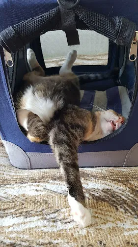 8 - Dr.med. Cord-Ulrich Kütemeyer