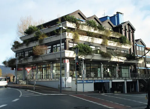 7 - Dr.med. Erwin Meyer