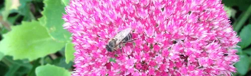 5 - Dr.med. Hans-Joachim Bunke