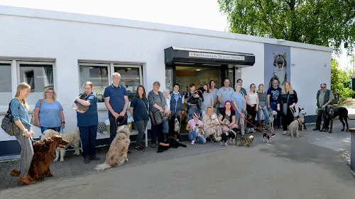 1 - Dr.med. Ljubomir Gabrovski