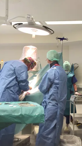 6 - Dr.med. Michel Obeid