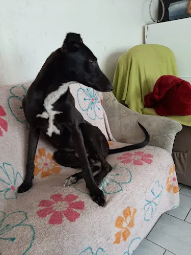 5 - Dr.med. Ralf Dörmann