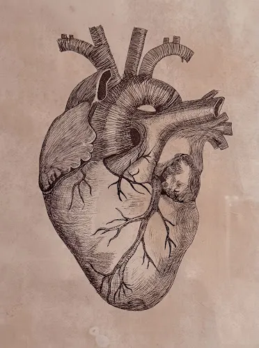 8 - Dr.med. Siegfried Tschepp Facharzt für Allgemeinmedizin