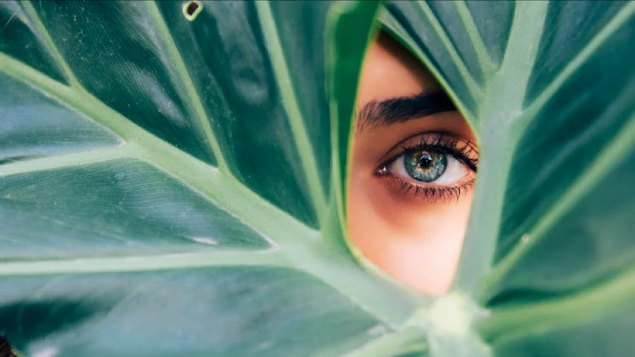 1 - Dr.med. Ulrike Kortenhorn