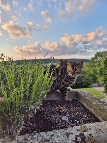 4 - Dr.med.dent. Joachim Reinke Zahnarzt