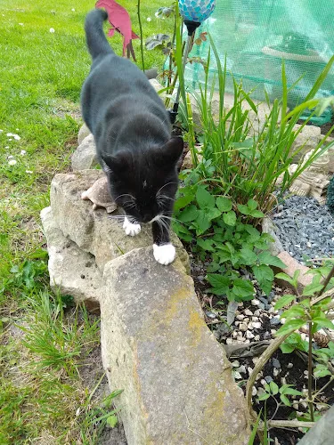 7 - Dr.med.dent. Joachim Reinke Zahnarzt