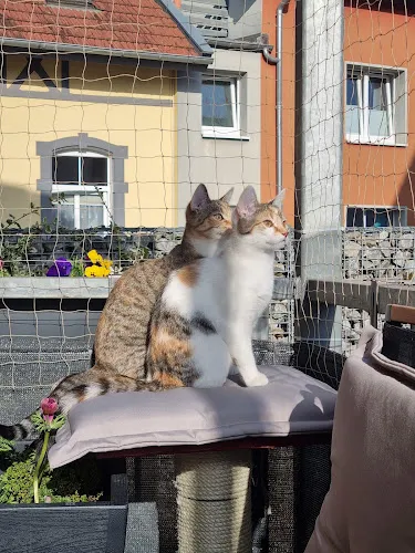 2 - Dr.med.dent. Joachim Reinke Zahnarzt