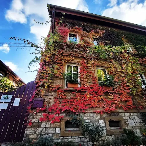 2 - Elvis Friseursalon