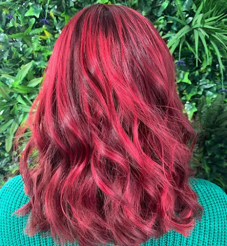 4 - Emmas Mane Attraction