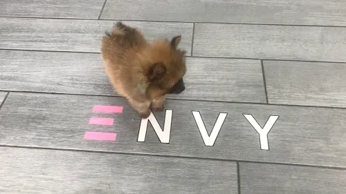 8 - ENVY Hair & Beauty