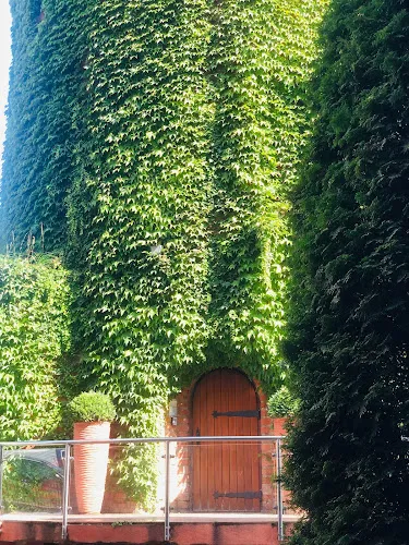 4 - Esthetic. Salon fryzjerski. Badanie mikrokamerą, kosmetyki organiczne