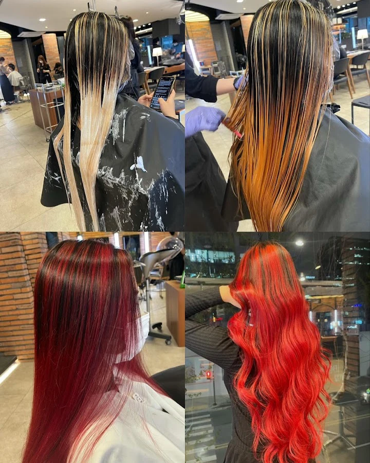 1 - Esthetica Organic Hair and Body